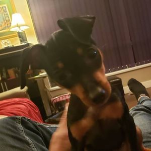 Meet your Posher, Mike